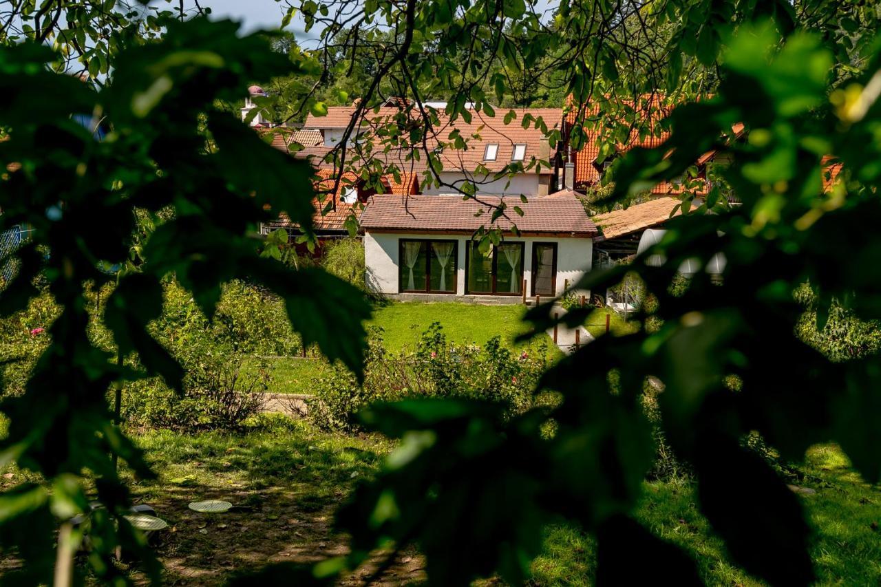 Hotel Casa Adalmo Sighişoara Exteriér fotografie